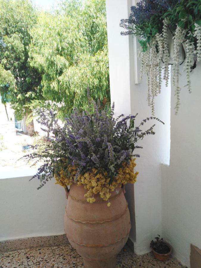 Tilos Island House Megálon Choríon 외부 사진